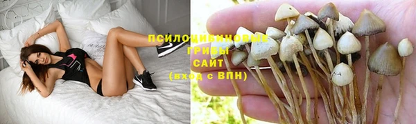 мескалин Майский