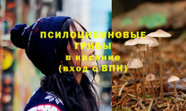 гашик Лихославль