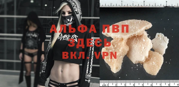 крисы Магас
