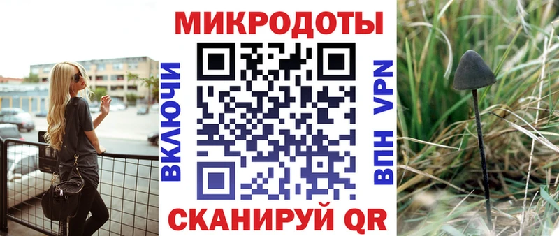 Псилоцибиновые грибы Psilocybine cubensis  Каменногорск 